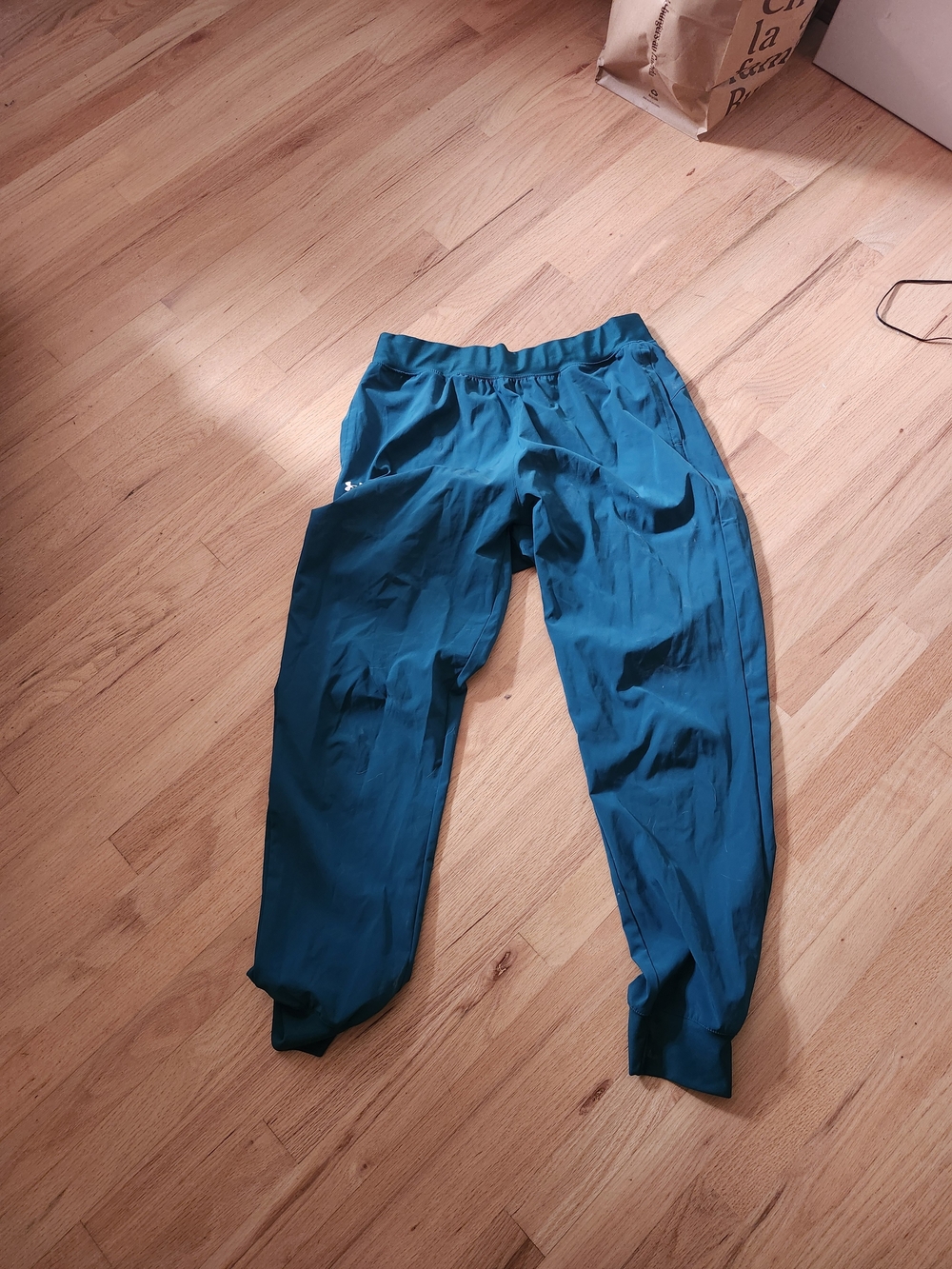 Womens Under Armour Teal Jogger Pants